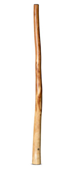 Wix Stix Didgeridoo (WS204)